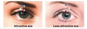 Image comparing more and less attractive eyes