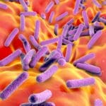 microbiome