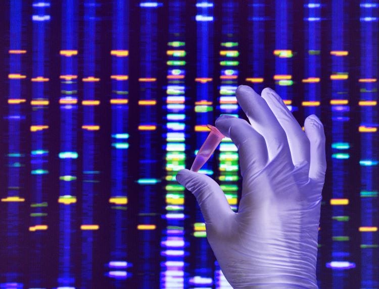 Genetic testing stock image